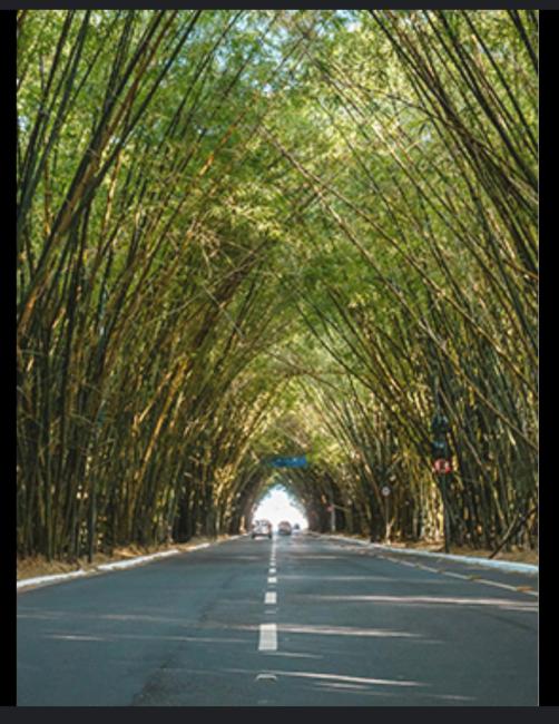 Hostel Massimo Camargo Images_2