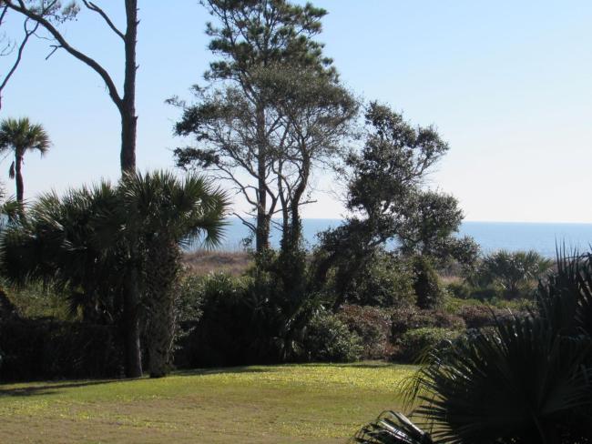 Beachfront Condo with Ocean View Images_3