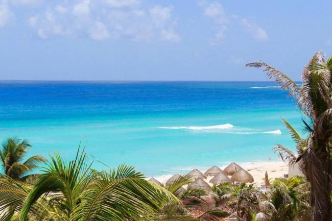 Solymar 3402 Images_1