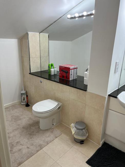 Ensuite Room w/ private entrance in Royal Victoria Excel O2 Arena London Images_4