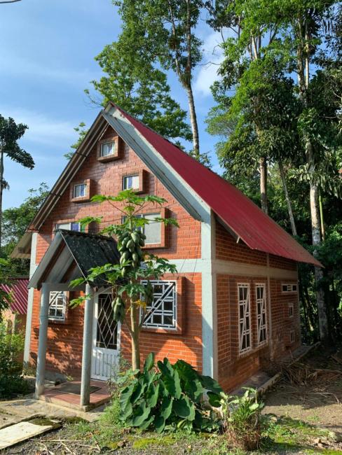 BaseCamp - Cabañas en la selva amazónica Images_1