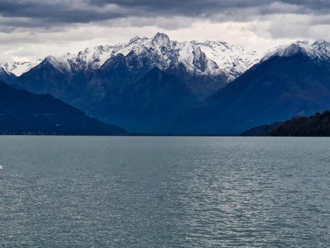 Vichi's nest Images_3