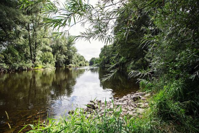 Cabalva Mill Cottage - very private and with views over the River Wye Images_4
