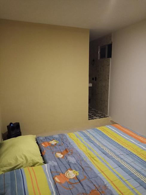 CEGA HOME BASIC Images_3