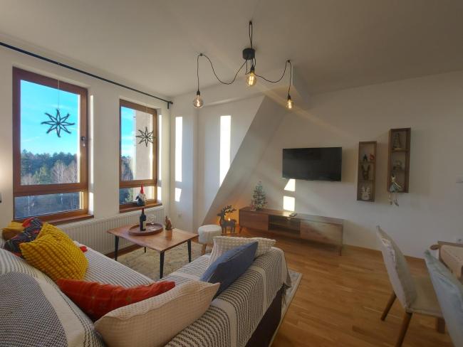 Aries apartman Divčibare Images_3