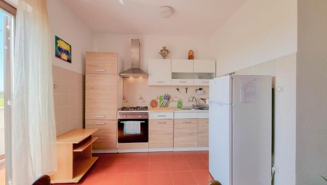 Mirjana Three Images_3