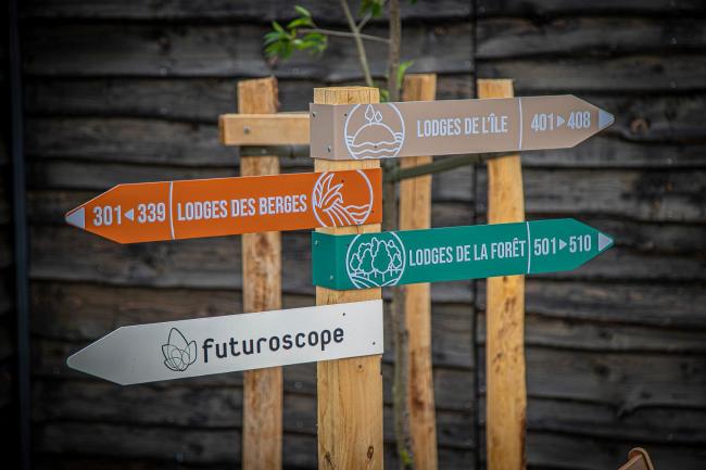 Hôtel Ecolodgee Images_5