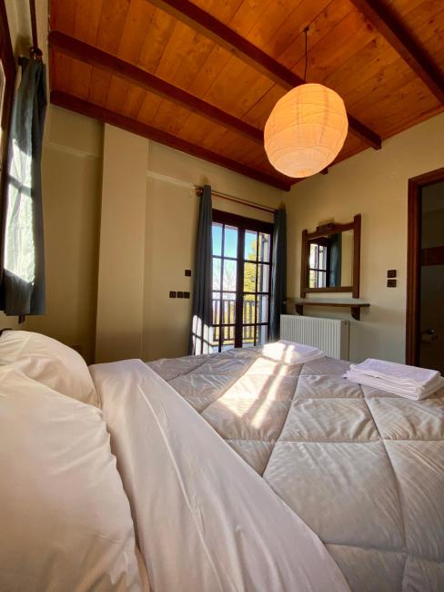 Σκίουρος Images_2