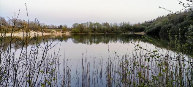 Stacaravan Il Piccolo Nido in bosrijke omgeving Eext Images_3