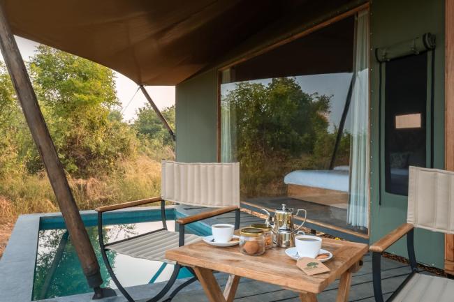 Trees N Tigers, Tadoba Images_3