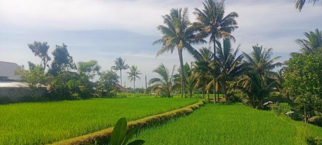 Lingkung Park Tetebatu Images_5