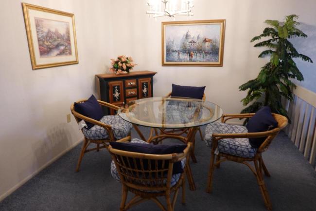 Dolphins Delight Images_3