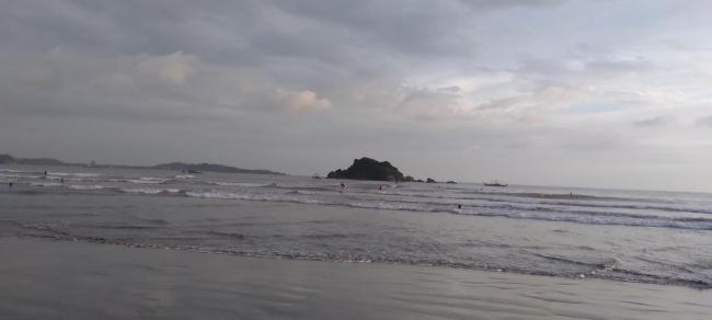 Swallow bird weligama 450 meters to the surfing beach Images_3