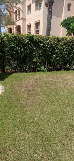 Marassi Verdi Pool View North Coast Images_5