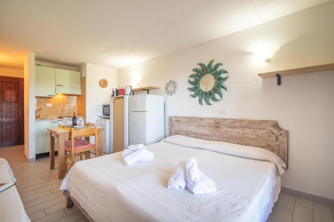 Mono Calamaro Eucalyptus 242 - Happy Rentals Images_5