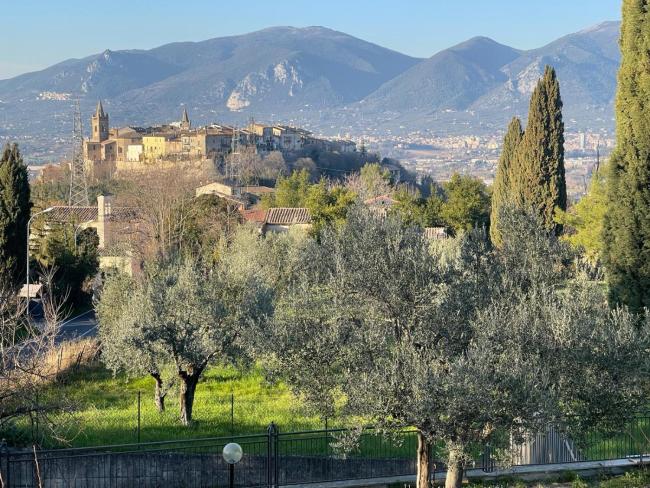 Lattrazionedelgeco Images_1
