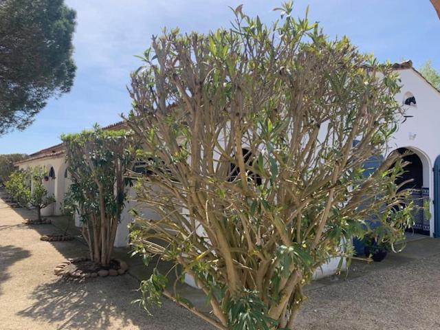 Mas de Dard Images_1