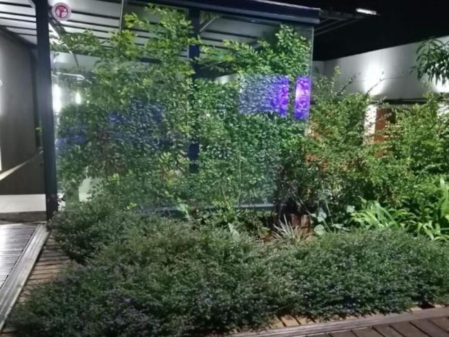 30 on Bergh Images_5