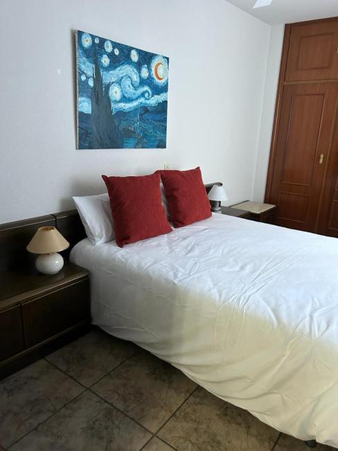 LAS PALMERAS Images_5