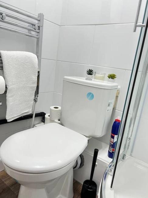 Charming Flat in Ealing Images_2