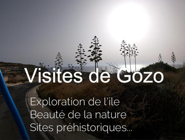 Gozo Freediving Dojo Images_2