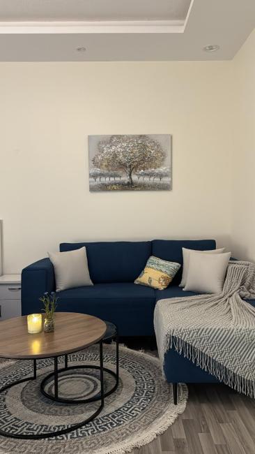 شقة استديو مودرن بدخول ذكي Images_4