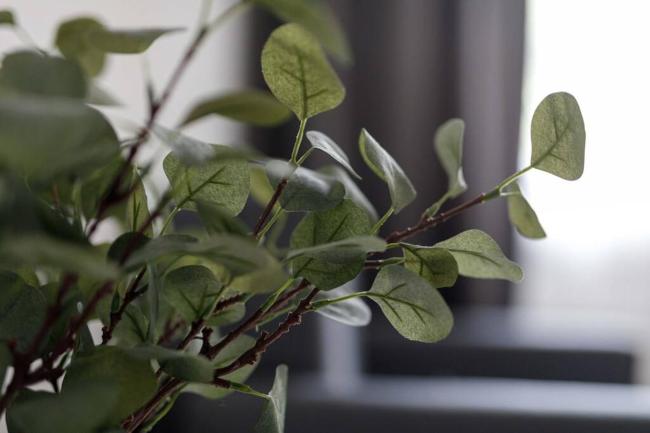 Golden Apartments&Widok Images_2