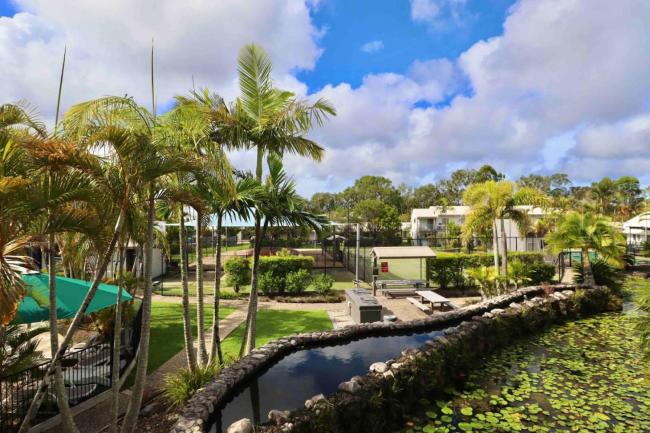 Tranquil River Palms in Paradise Images_4