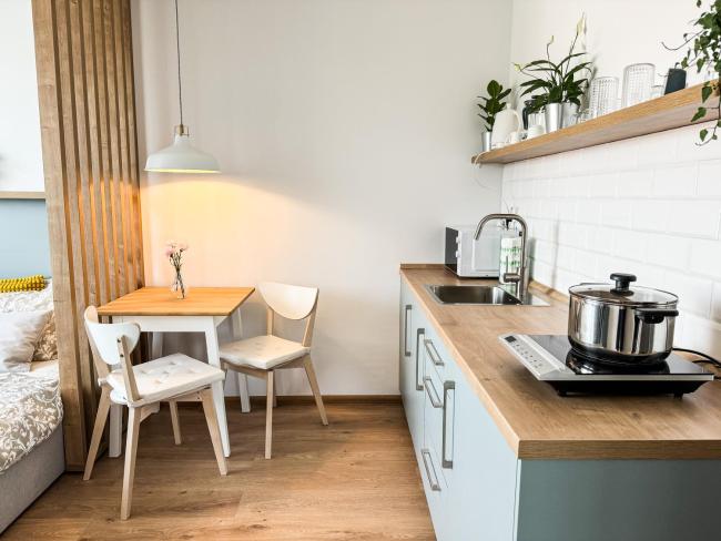 Studio Apartment Trenčín Images_5