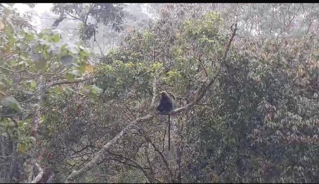 periyar view Images_1