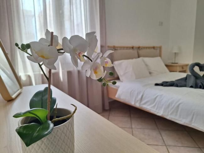 Elysian Apartment Images_3