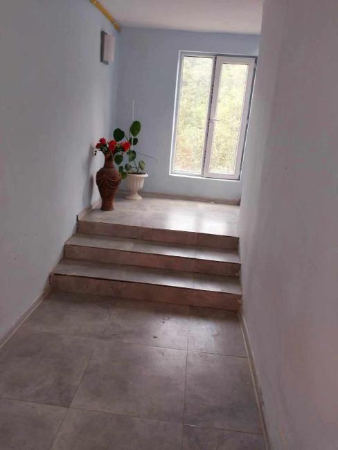 A house in nature Images_2