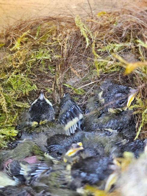 Terre et mer Images_2