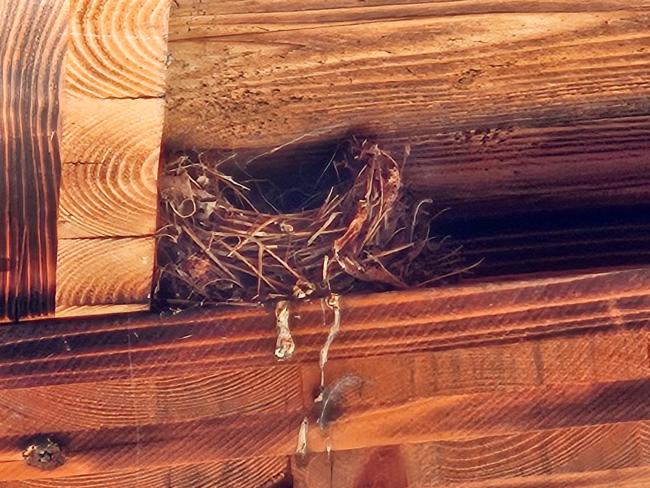 Terre et mer Images_4