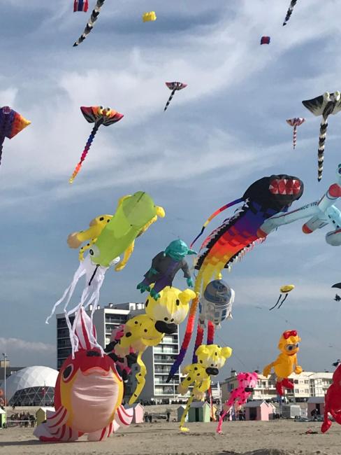 Les chti picards Images_1