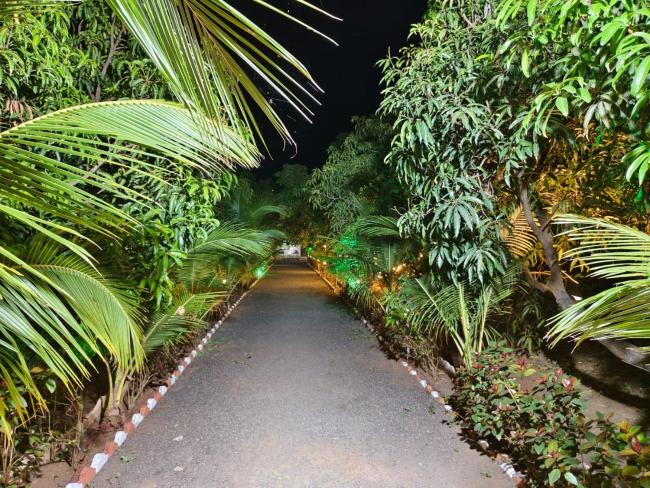 Gir Pulse Resort Images_4