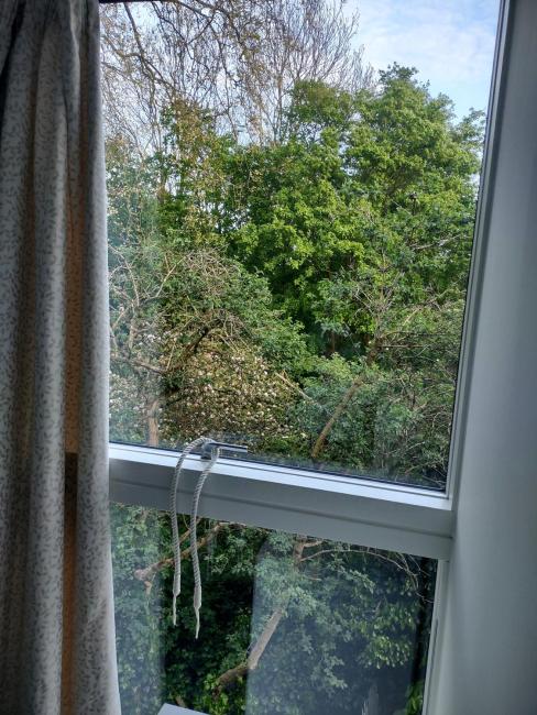 Modern flat shared with host, park view in Clapton Images_1