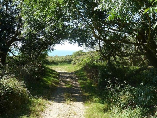 Nouveau ! Cottage dans une résidence arborée Pinwood Images_4