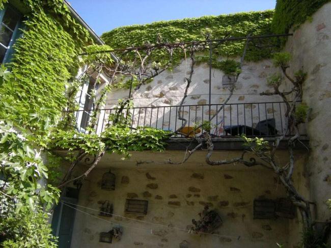 "Ancien Cafe" with courtyard Images_1