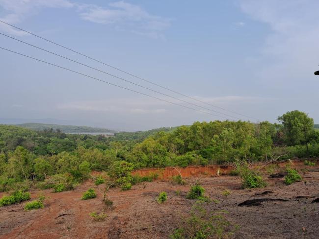 Aparajitha groups Images_3