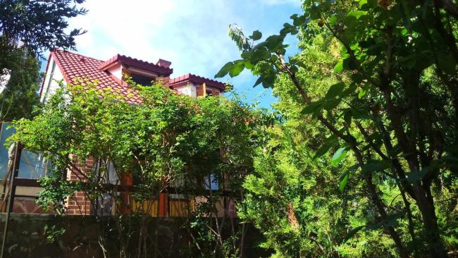 Fig Tree house Images_1