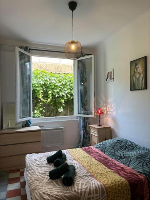 Appt climatisé vue sur Rhône et Palais des Papes Images_5