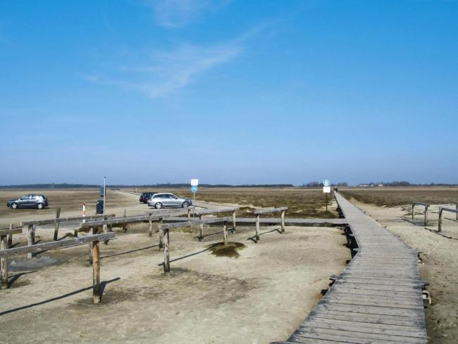 Ferienwohnung in St Peter-Ording Images_2
