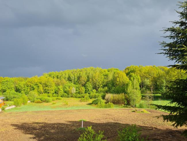 Dom Na Wzgórzu Images_4