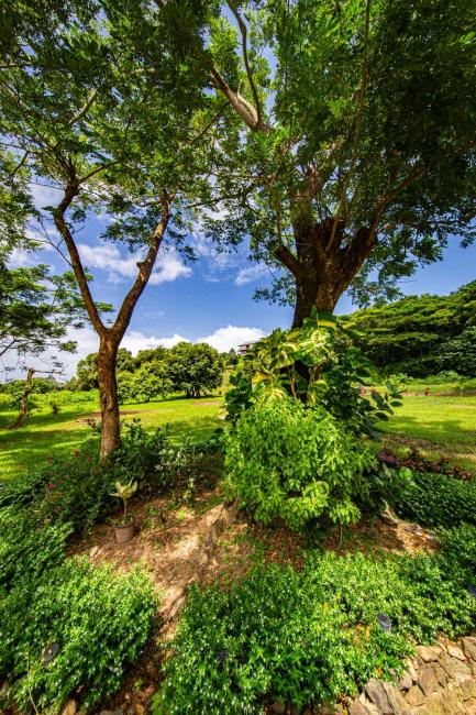 MAUI CREEK BURE'S Tiny home by the creek! Images_2