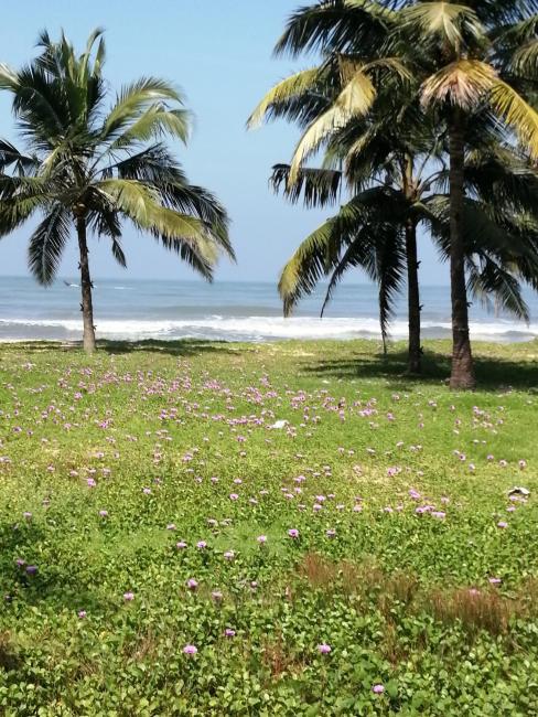 Ocean Whisper- psst! hidden gem Images_2