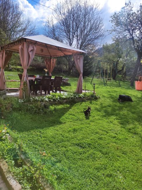 Guest house Charodea Images_1