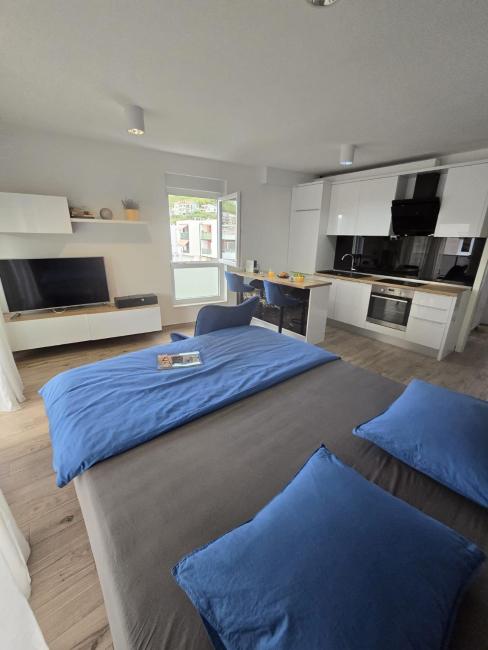 Luna's Home Images_5