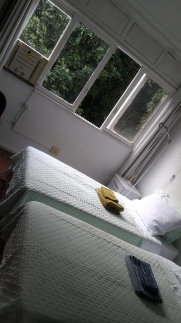 Forest in Copacabana Images_5