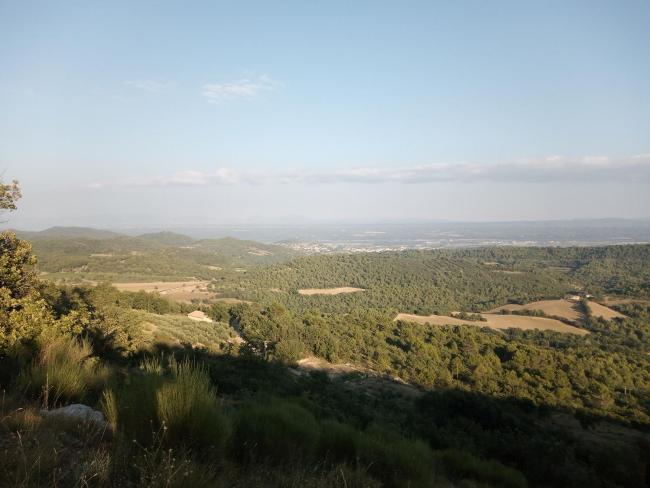 Chambre d'hotes L'amphitryon Images_5